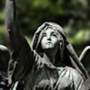 Meet your Posher, Dee